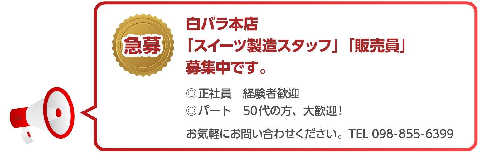 採用情報　お知らせ